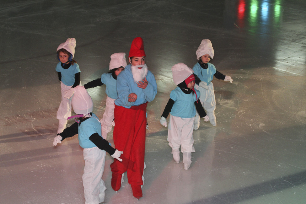 44e spectacle des Patins d'argent