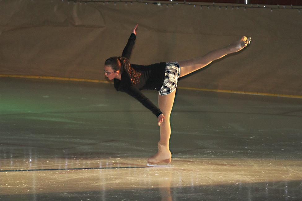 44e spectacle des Patins d'argent