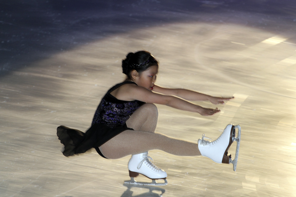 44e spectacle des Patins d'argent