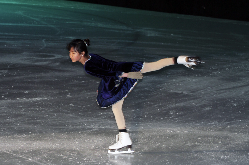 44e spectacle des Patins d'argent