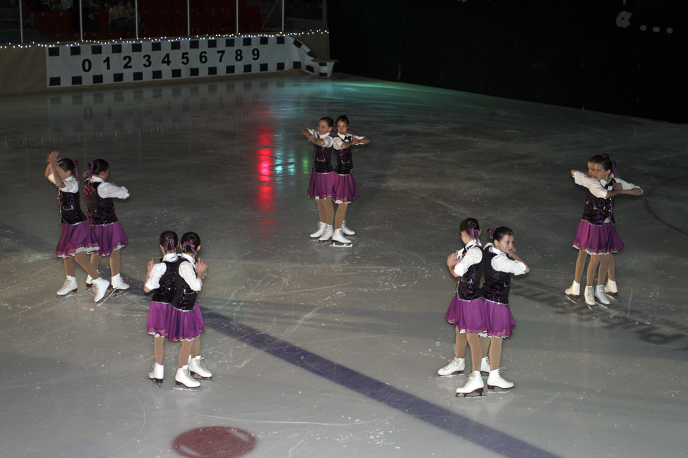 44e spectacle des Patins d'argent