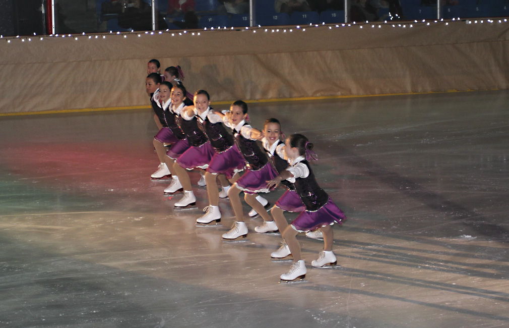 44e spectacle des Patins d'argent