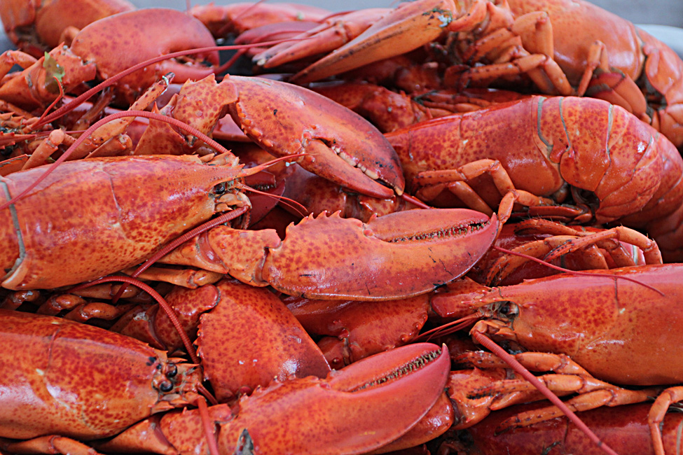 Souper aux Homard de la fondation du CSSS