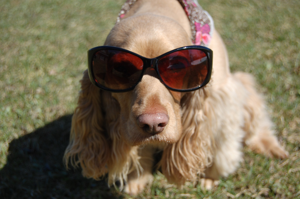 L'Étend'art à la galerie-Photos Château du Bel Âge
