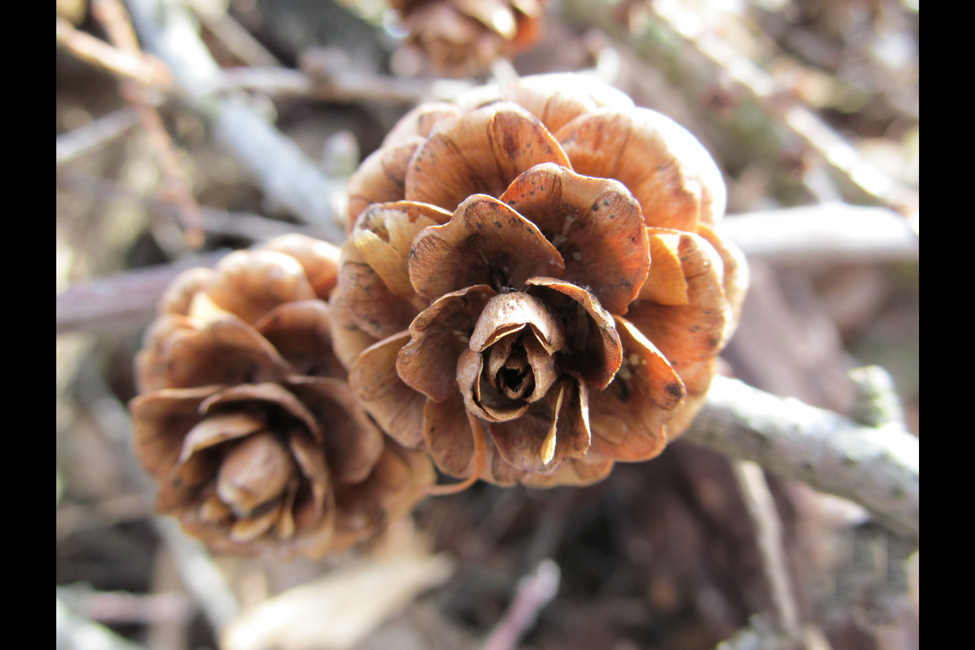 L'Étend'art à la galerie-Photos Château du Bel Âge