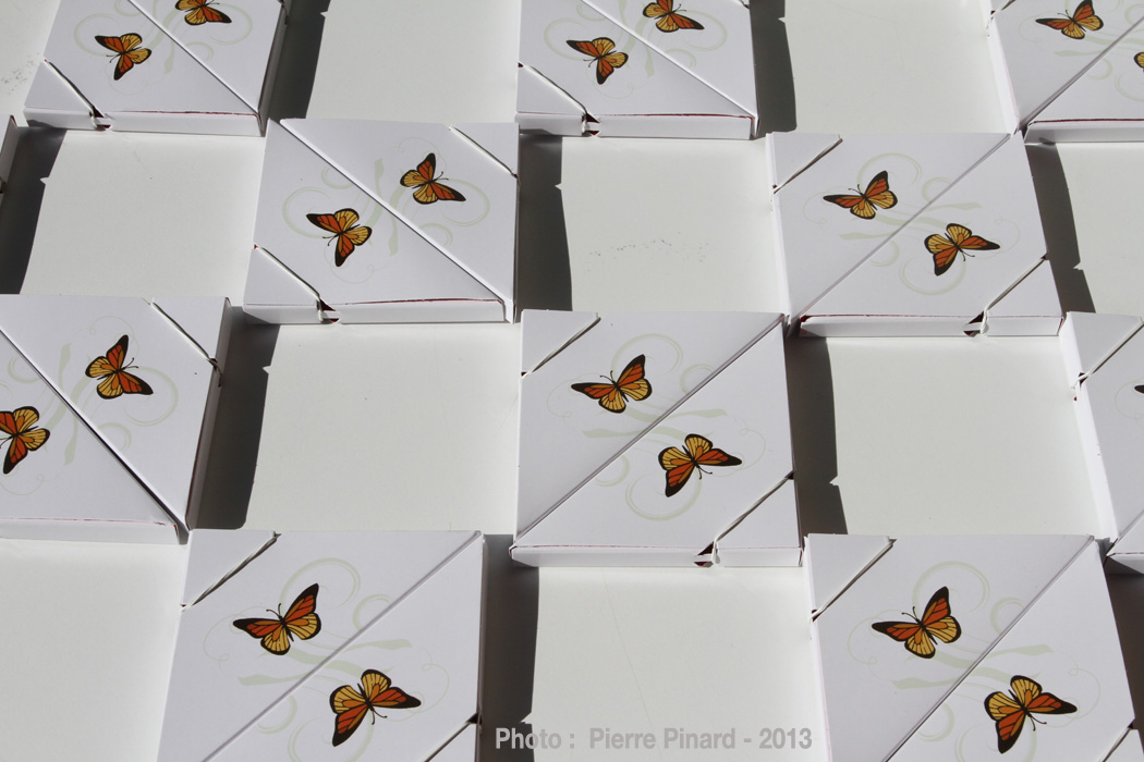 La Poudrière :   Envollée des papillons