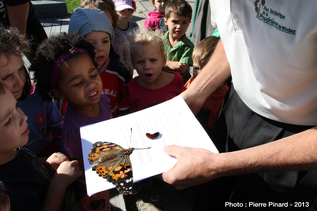 La Poudrière :   Envollée des papillons