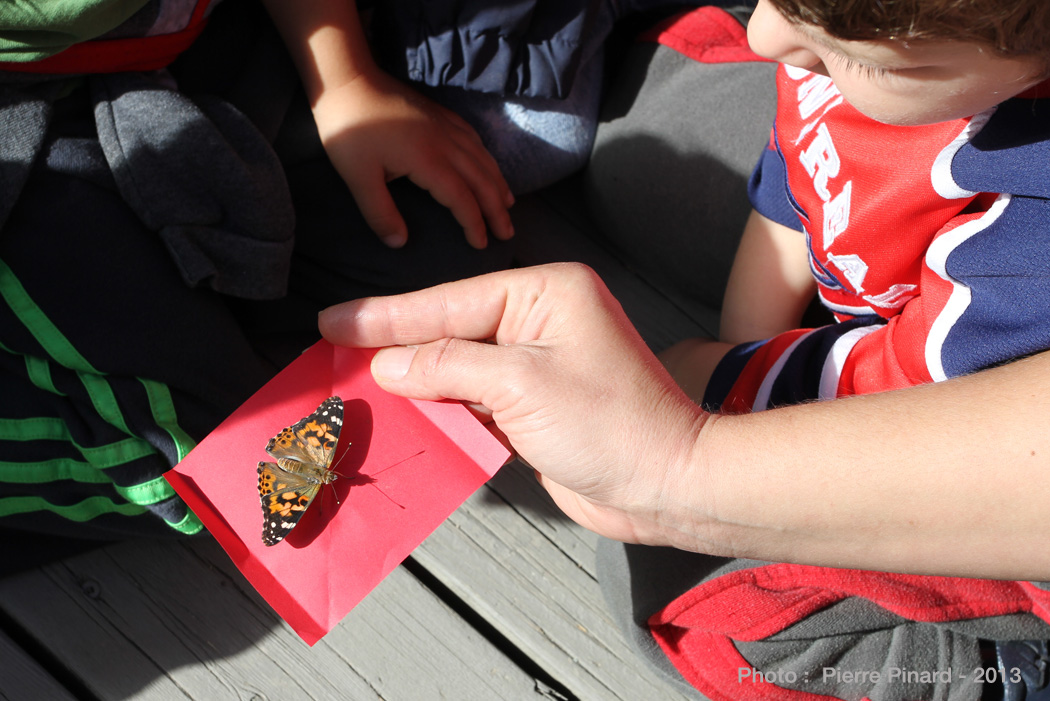 La Poudrière :   Envollée des papillons