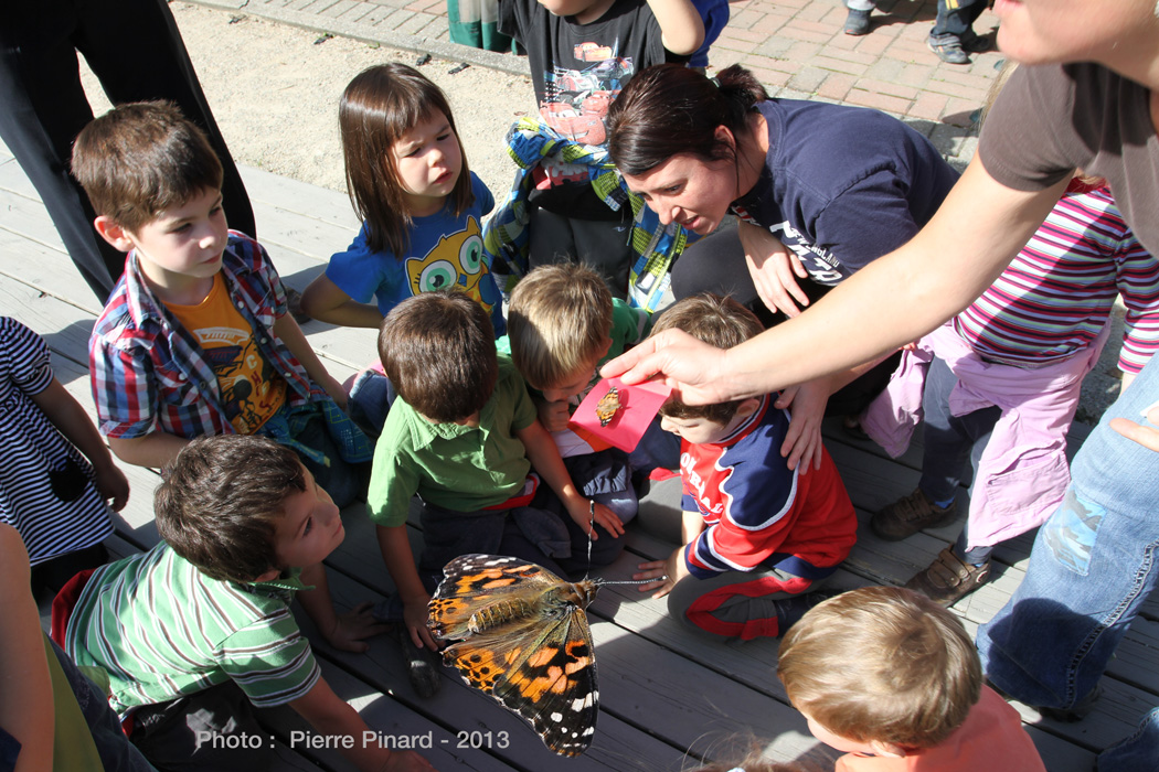 La Poudrière :   Envollée des papillons
