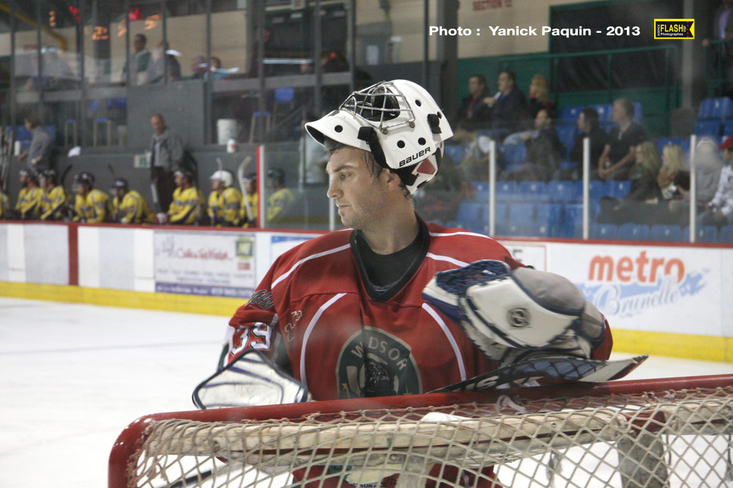 La saison du Wild est commencée!