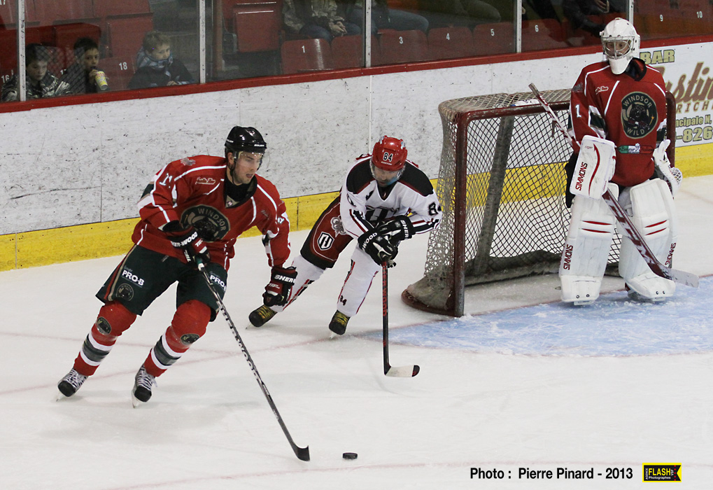 Le Momo Sport Wild de Windsor