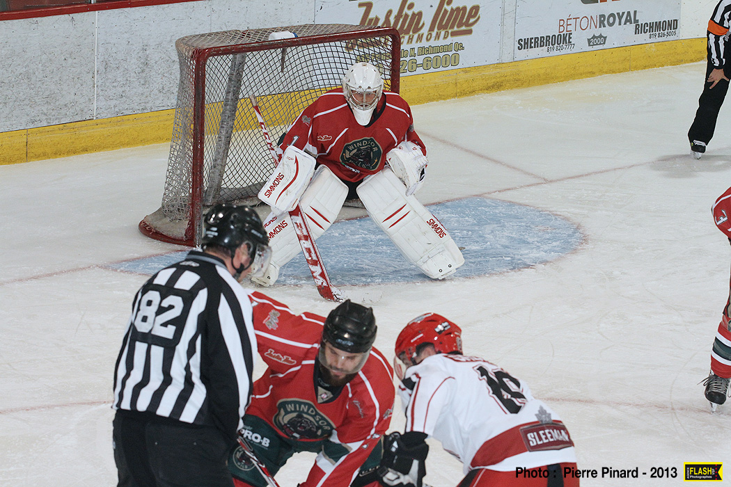 Le Momo Sport Wild de Windsor