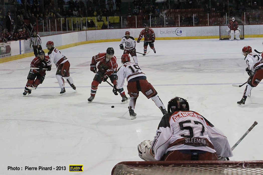 Le Momo Sport Wild de Windsor