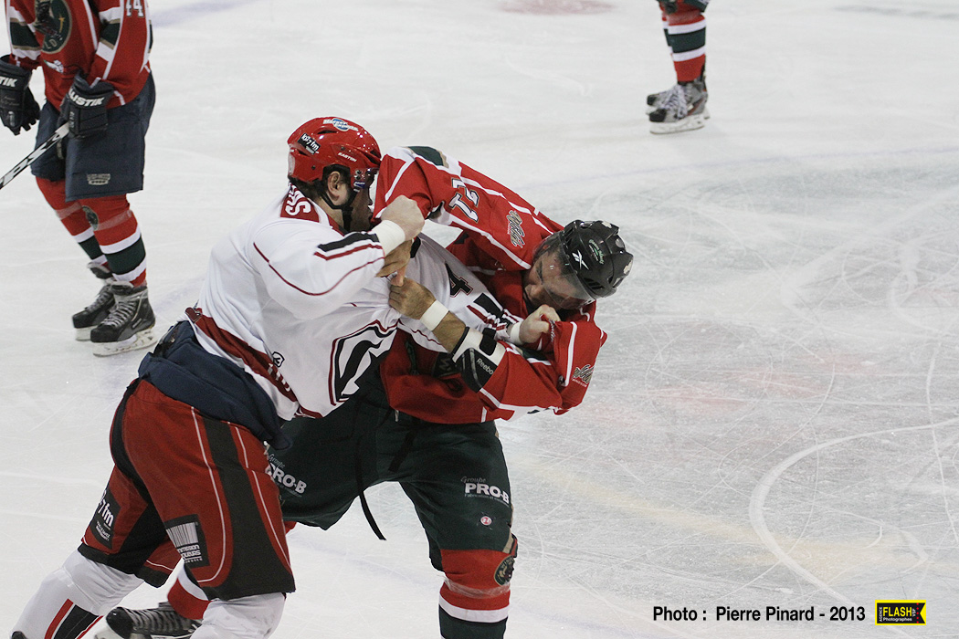 Le Momo Sport Wild de Windsor