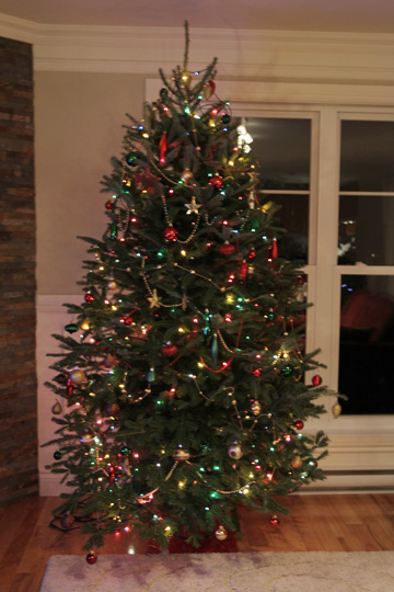 Collecte des sapins de Noël - Windsor