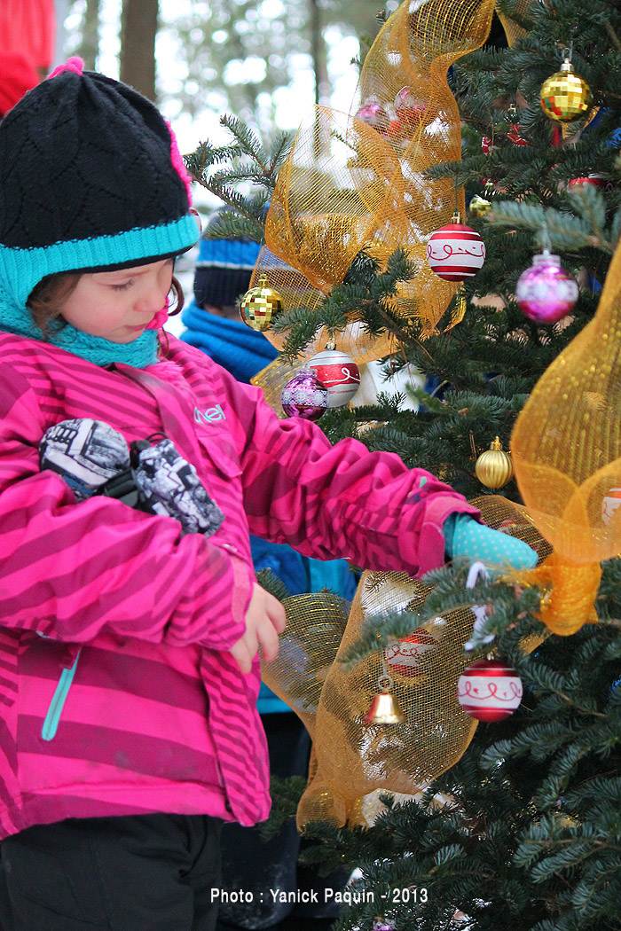 La forêt magique de la Poudrière