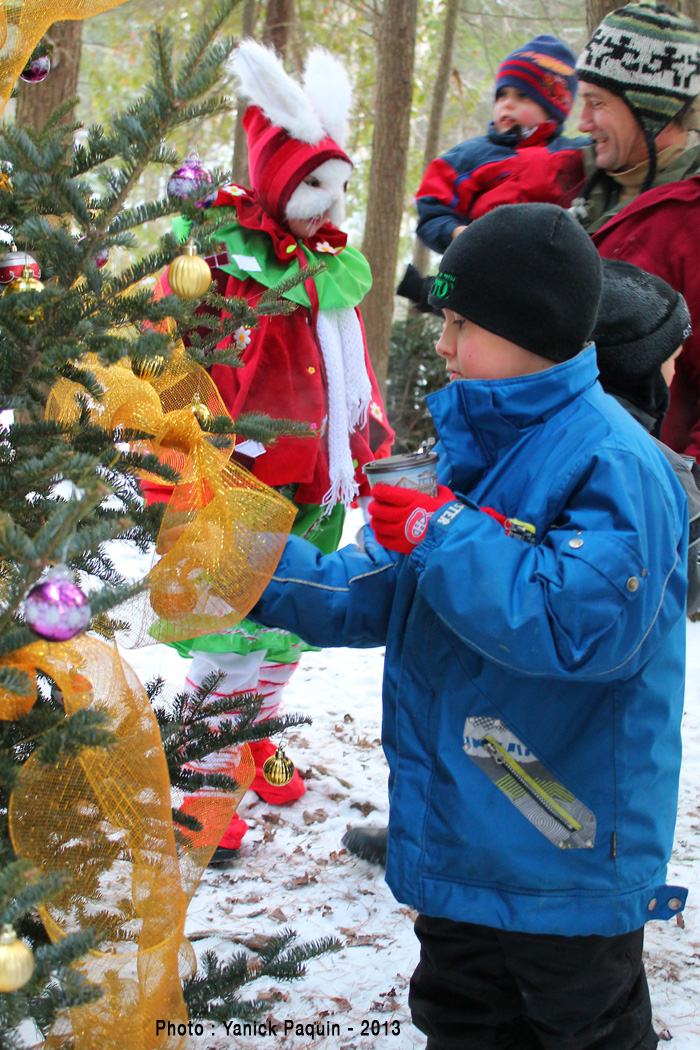 La forêt magique de la Poudrière