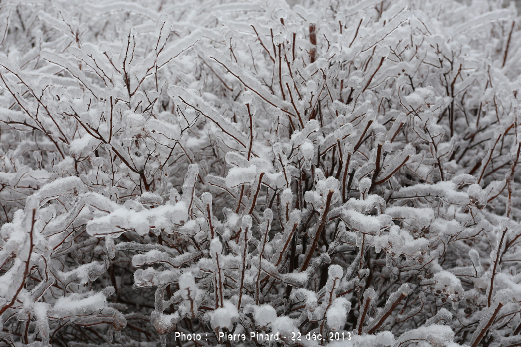Verglas du 22 décembre 2013