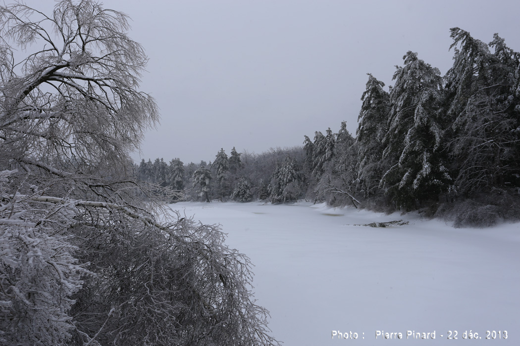 Verglas du 22 décembre 2013