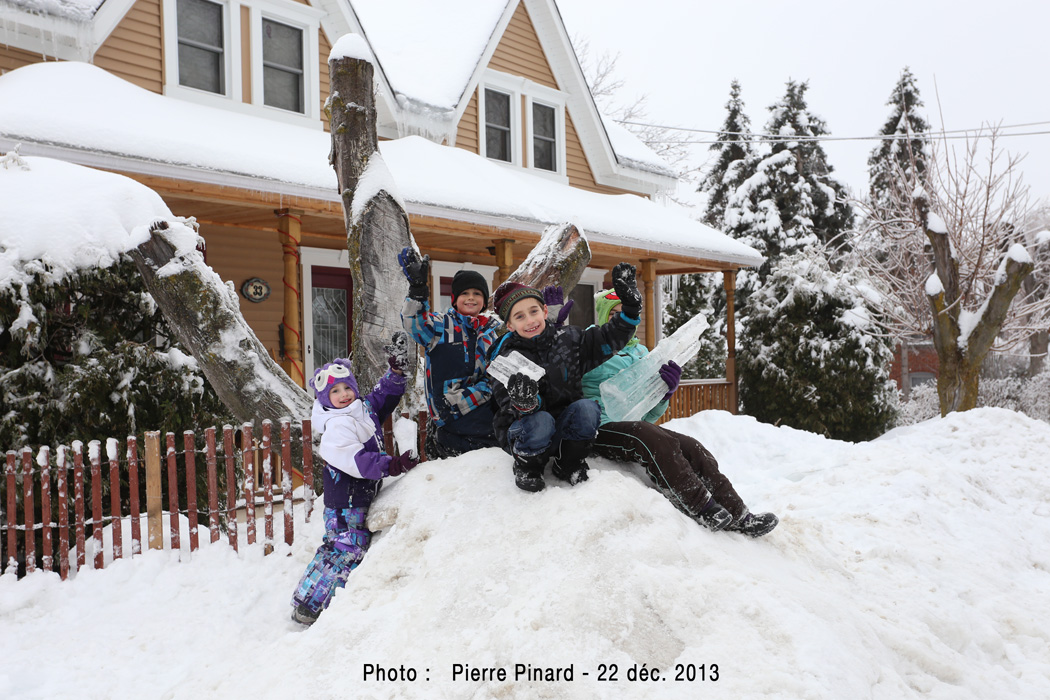 Verglas du 22 décembre 2013