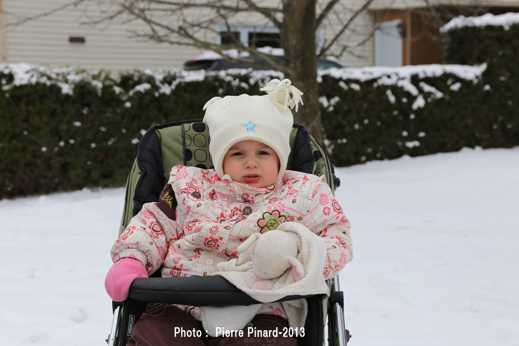 Windsor :  parade de Noël 2013