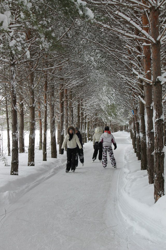 Du Tournesol - Journée de neige