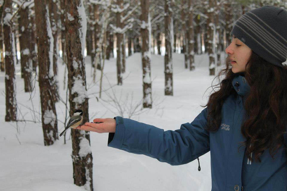 Du Tournesol - Journée de neige