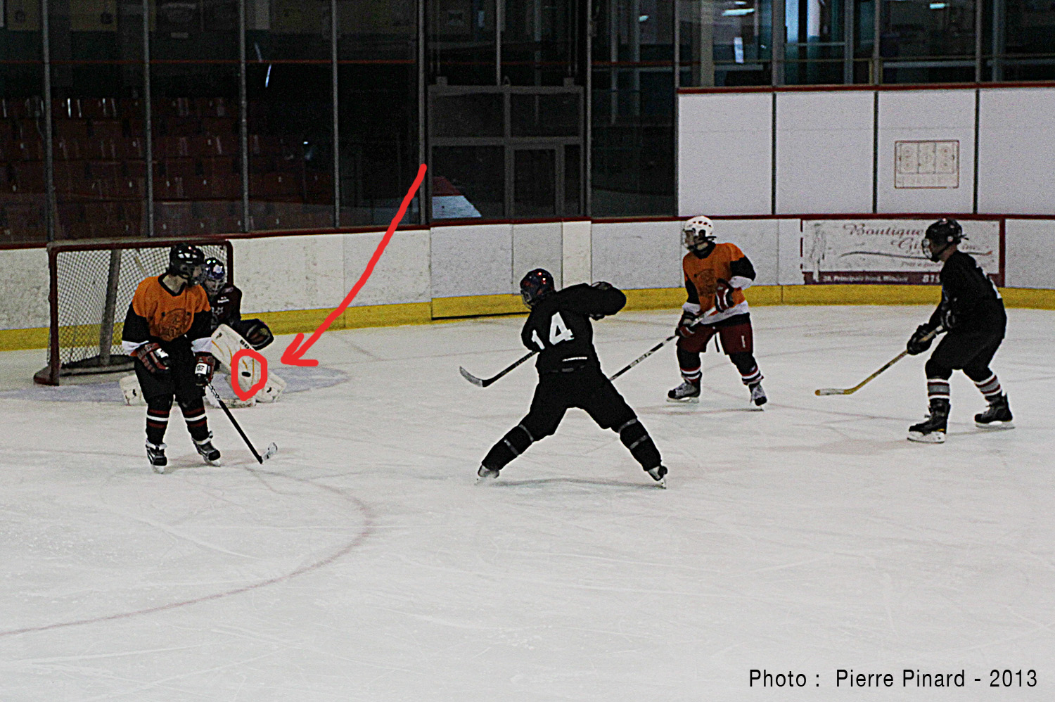 Du Tournesol - Journée de neige