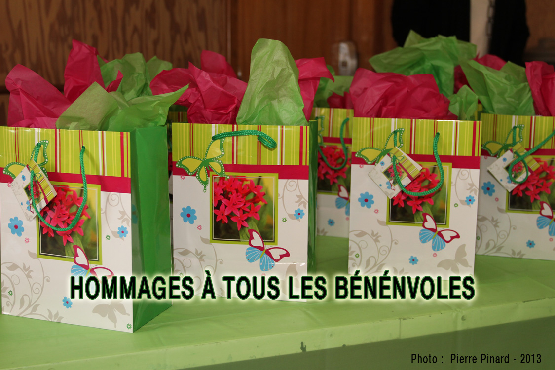 Windsor - Bénévoles de l'Année!