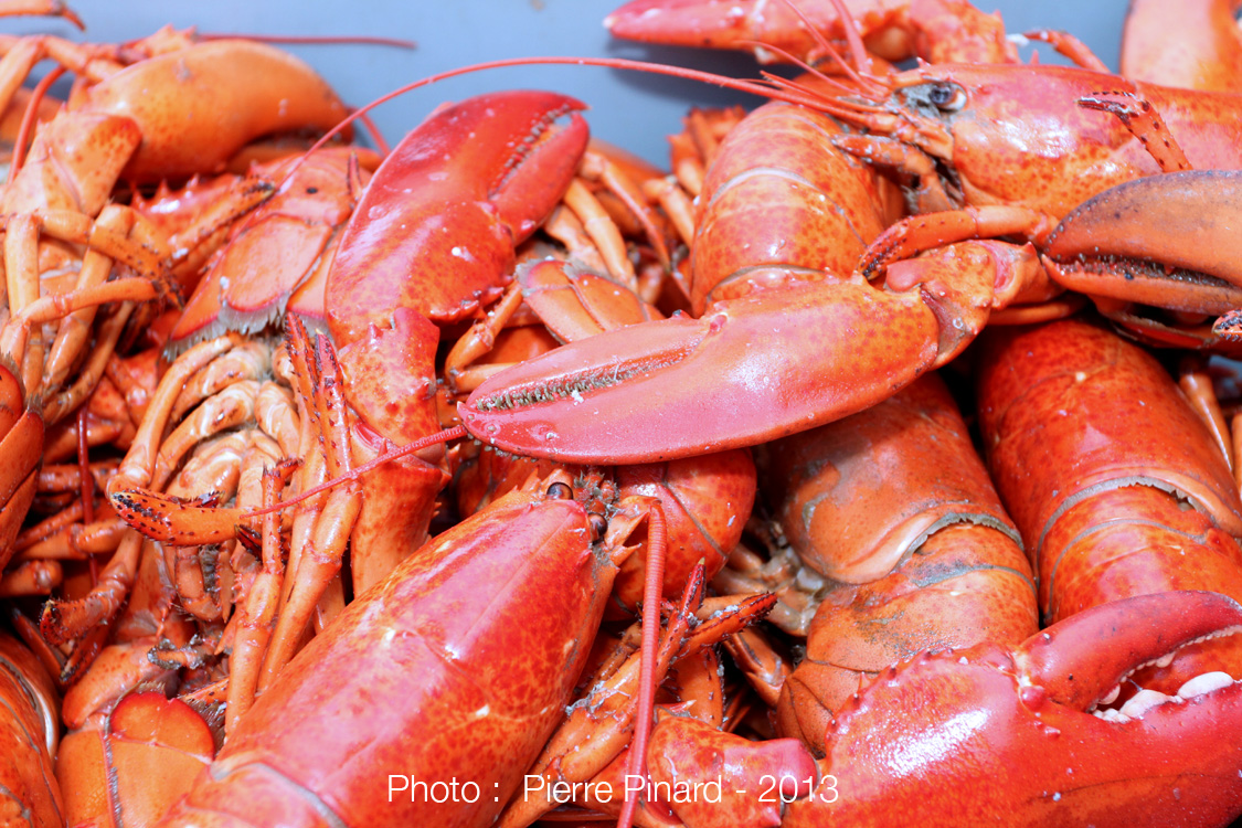 Souper aux homards 2013