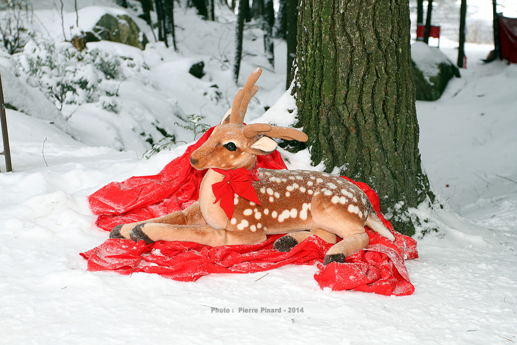 La Forêt Magique à la Poudrière
