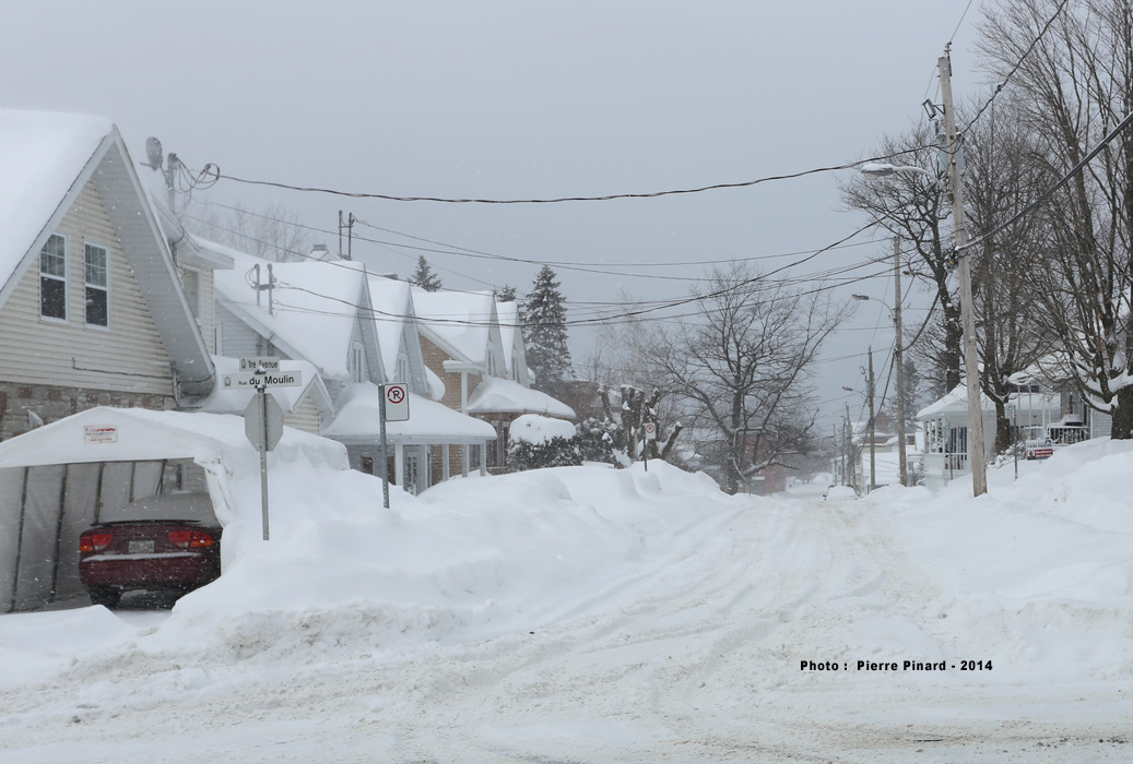 WINDSOR  2014 en 50 photos