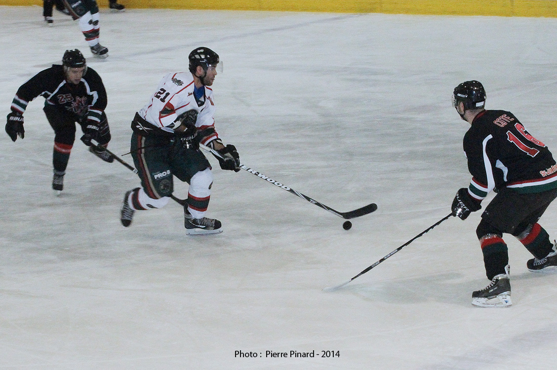 Le Wild à son meilleur!