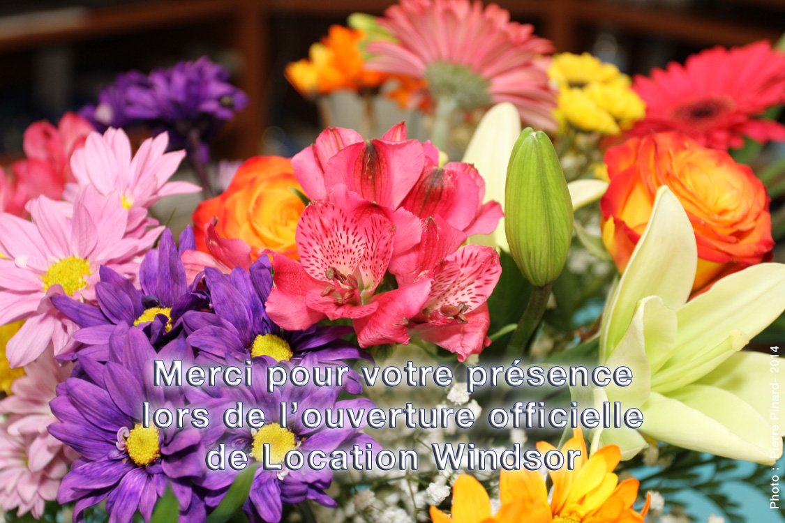 Location Windsor ouverture officielle