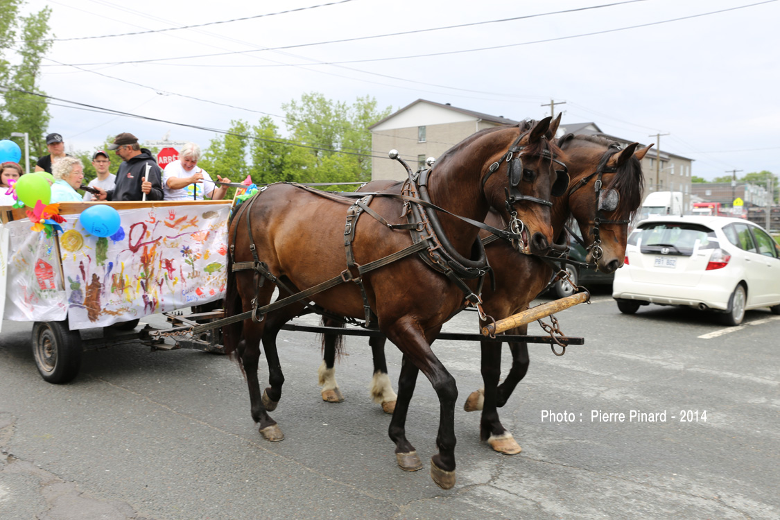 Parade du du Festival du papier 2014