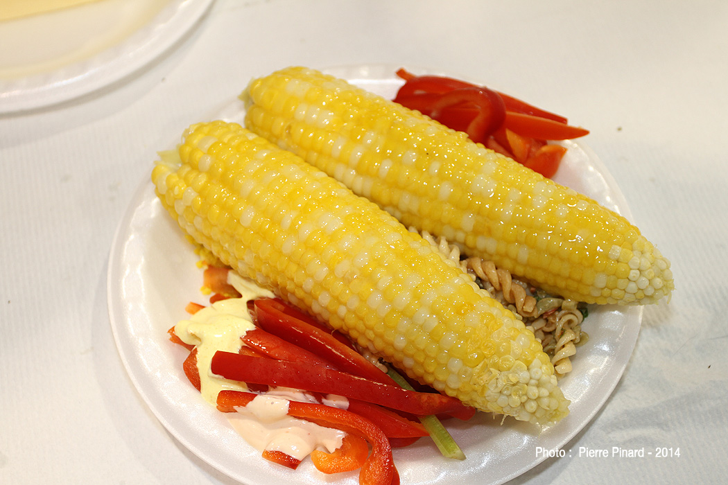 Domtar fête du 150e