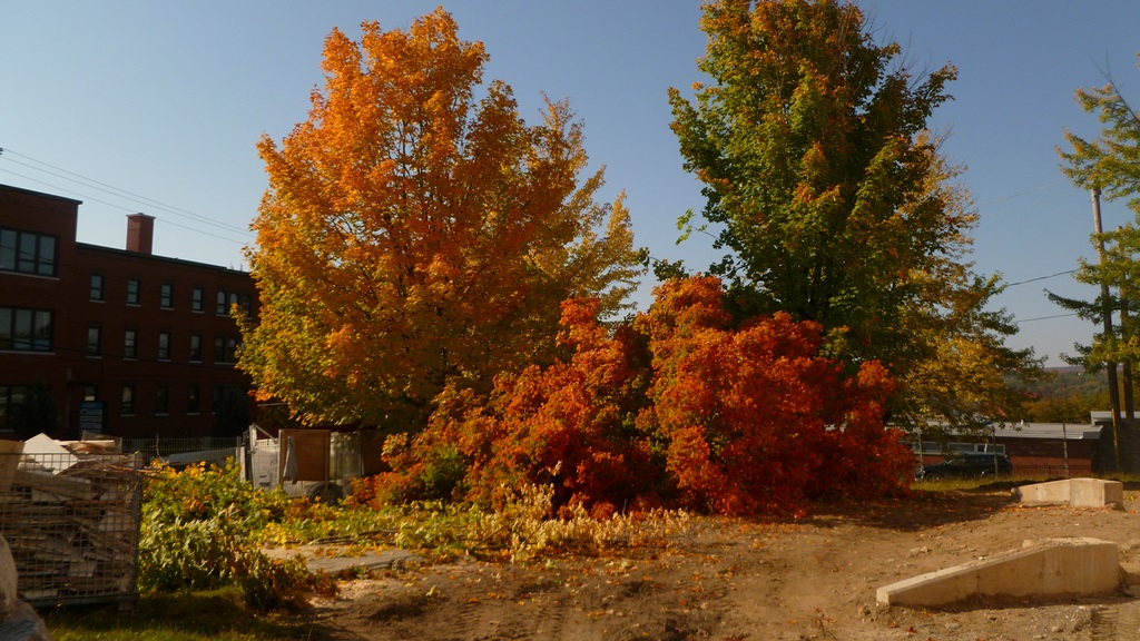 Reconstruction de l'église