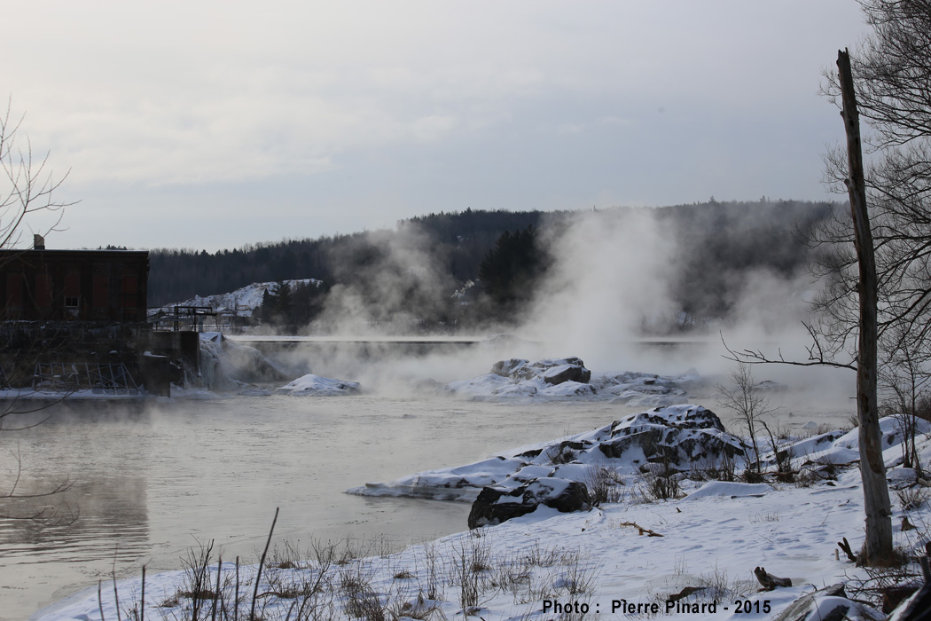 Windsor 1re vague de froid