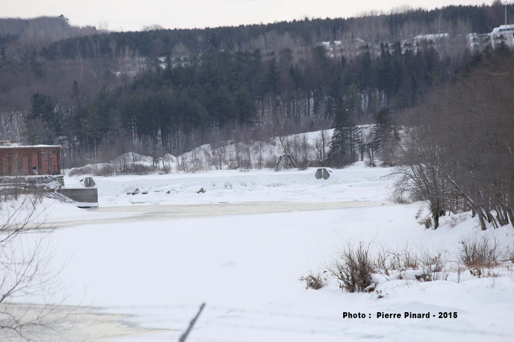 Hiver 2015 à Windsor