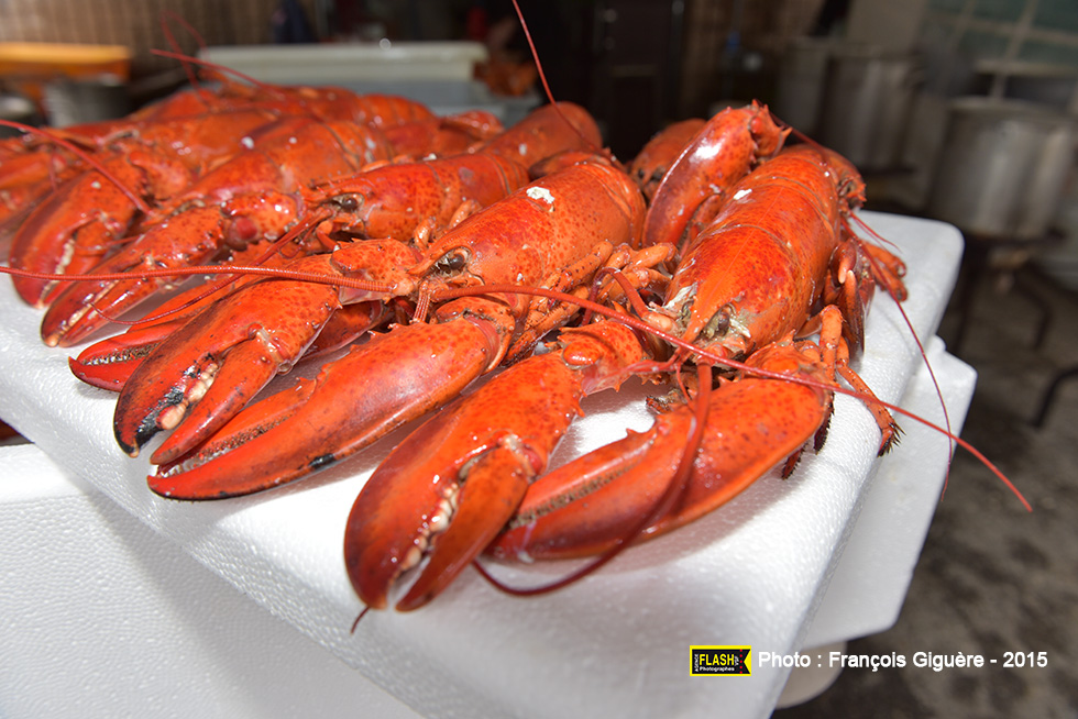 Souper aux Homards 2015
