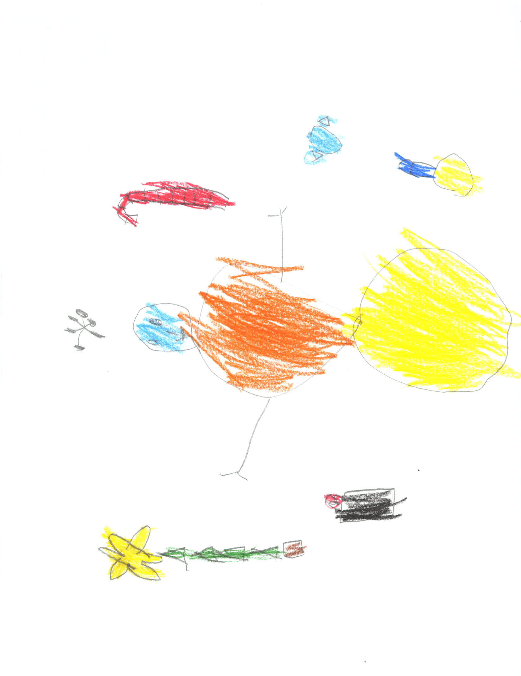 Nicolas Leblanc-Ferrari