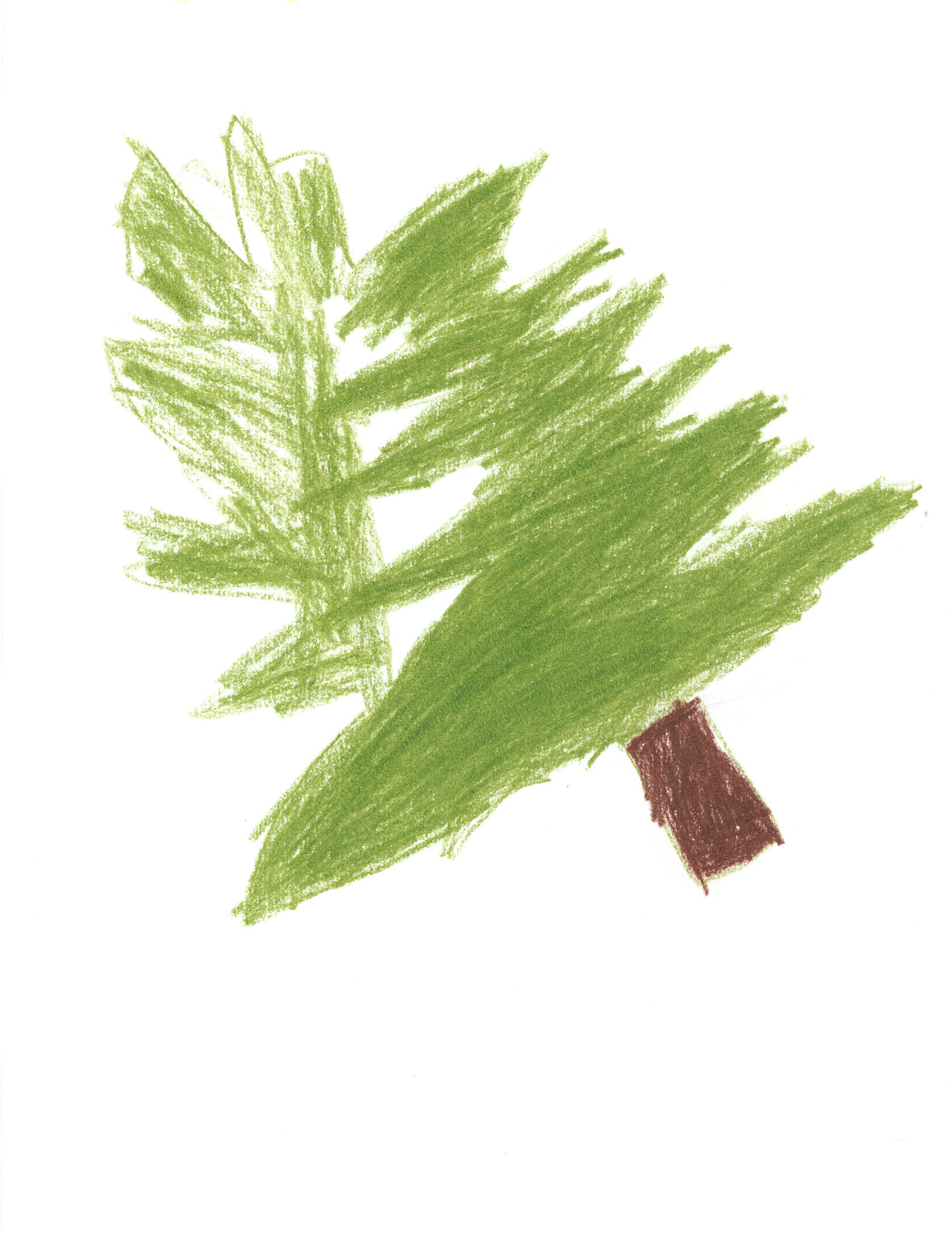 Médérick McConnell