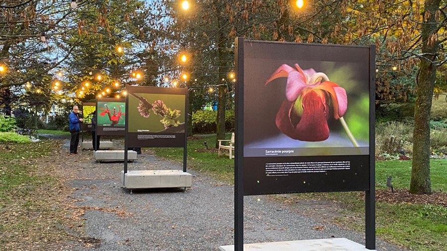 Une 38e saison touristique pour le jardin botanique de Kingsey Falls
