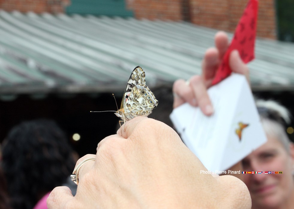 photos marquantes 2015 Windsor