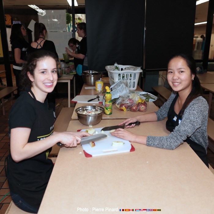 Portes ouvertes au Tournesol