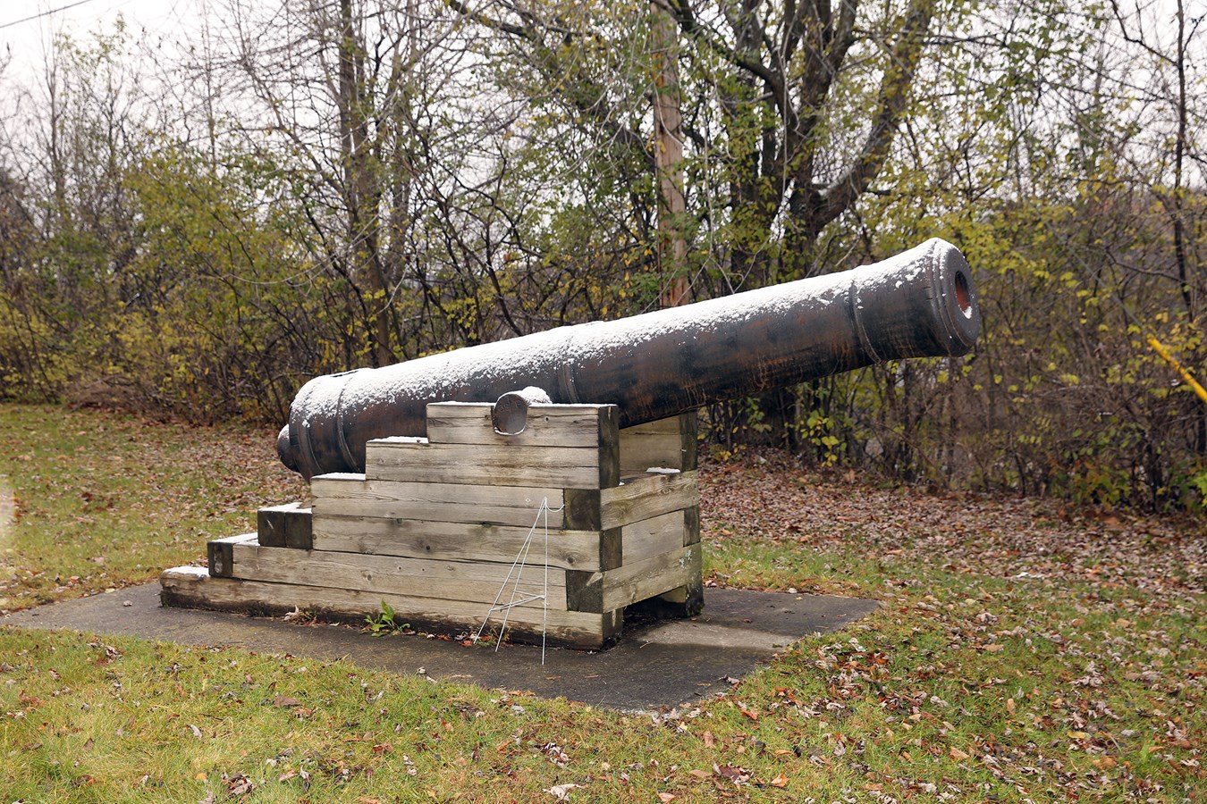  Armisitice 2016 à Windsor