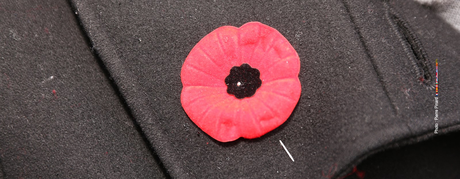  Armisitice 2016 à Windsor