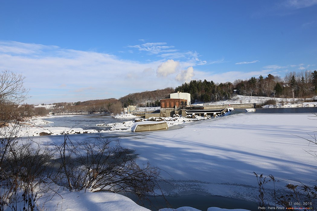 71 photos marquantes en 2016 à Windsor