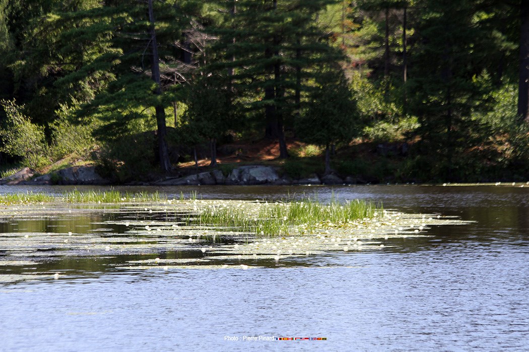 71 photos marquantes en 2016 à Windsor