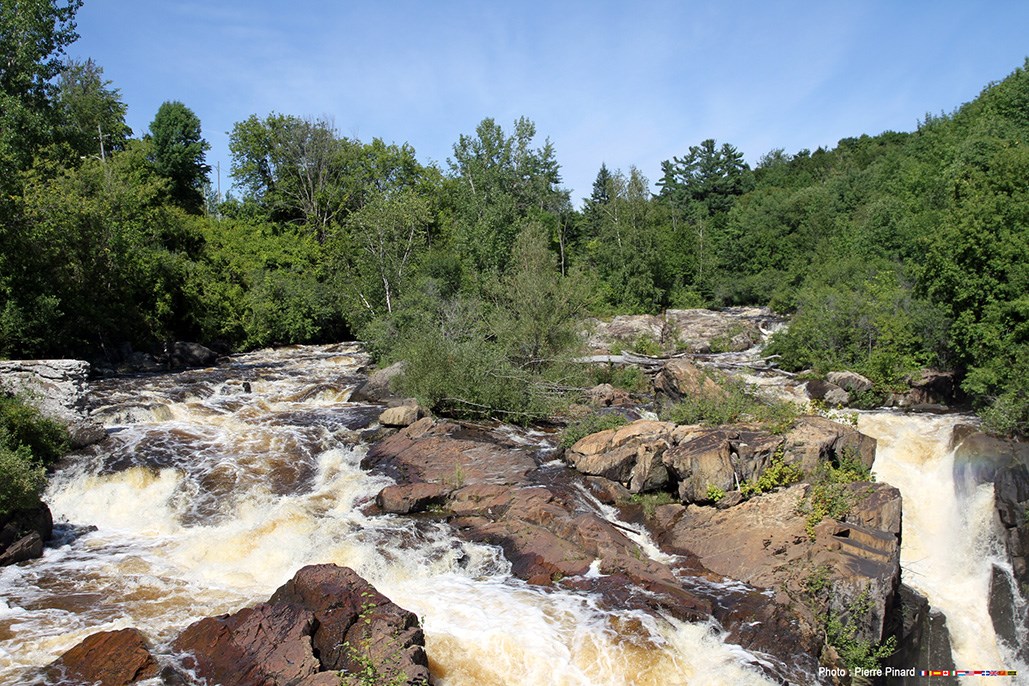 71 photos marquantes en 2016 à Windsor